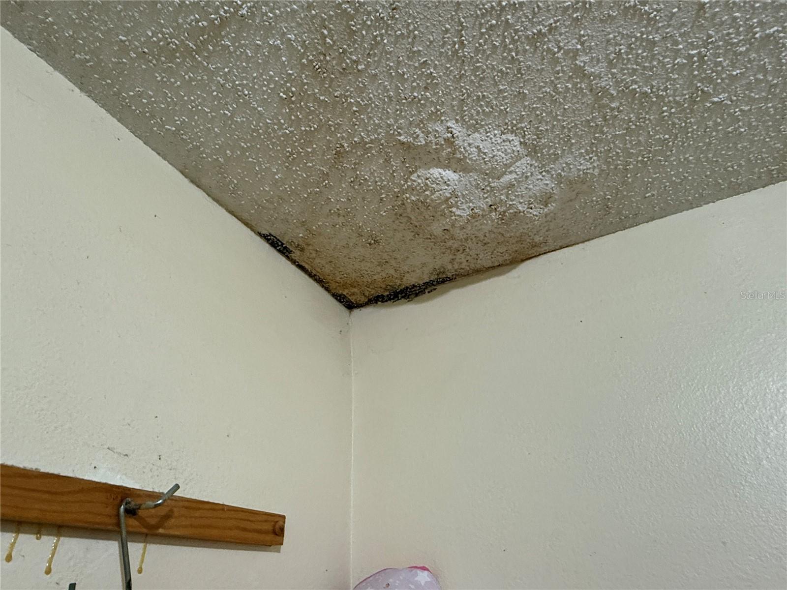 PINE HAVEN II - Residential