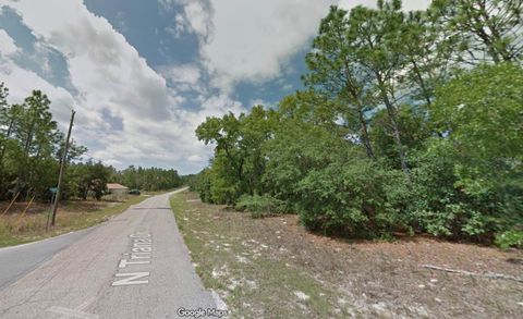 8100 N TRIANA DRIVE CITRUS SPRINGS FL 34434