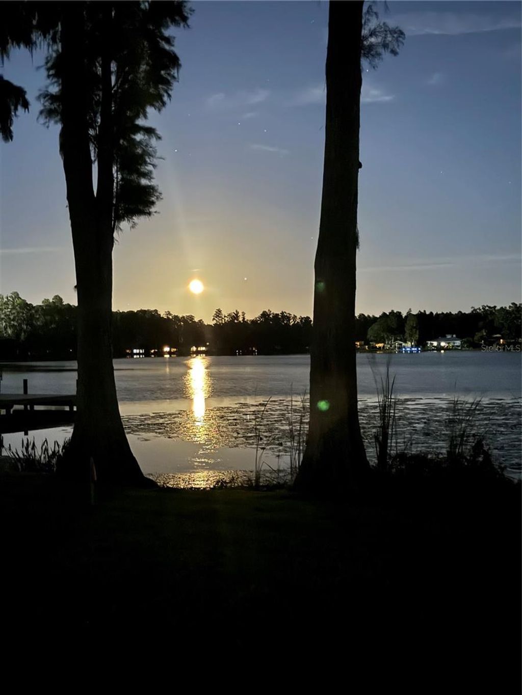 Photo of 1006 Lake Cooper Drive, Lutz, FL 33548 (MLS # TB8470707)