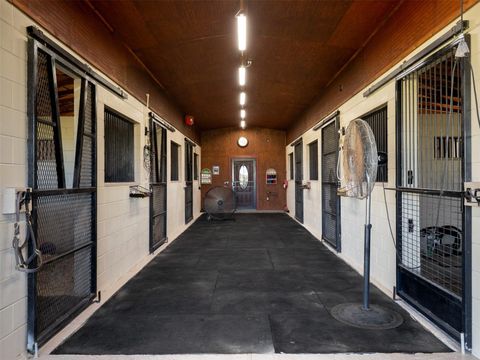 Tiny photo for 11403 N Magnolia Avenue, Ocala, FL 34475 (MLS # OM710261)