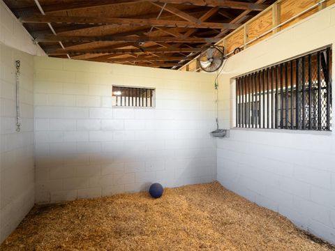 Tiny photo for 11403 N Magnolia Avenue, Ocala, FL 34475 (MLS # OM710261)