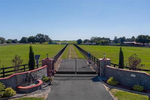 Tiny photo for 11403 N Magnolia Avenue, Ocala, FL 34475 (MLS # OM710261)