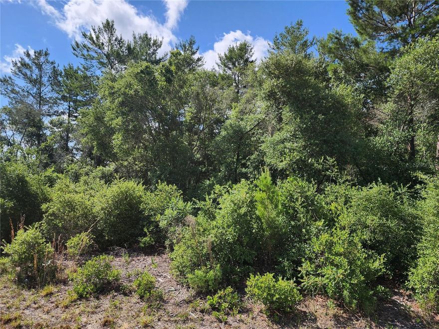 Premium lot over 1/2 acre...Minimal clearing required on one of the most sought after lots in the Waterways subdivision...Build your customized executive home and enjoy peace and tranquility