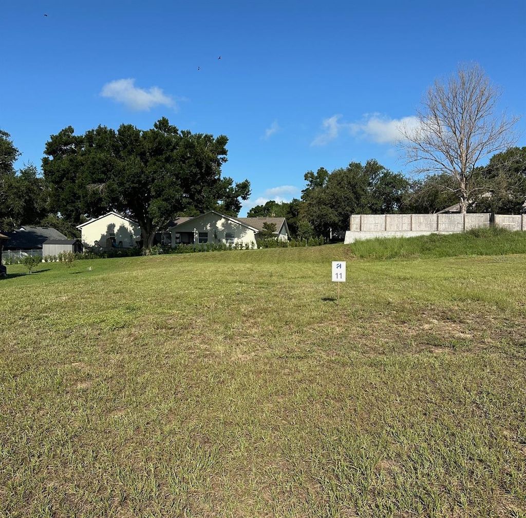 Photo of 11619 Matanilla Drive, Clermont, FL 34711 (MLS # G5110320)