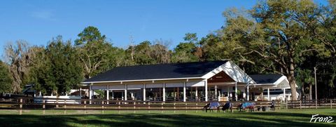 Tiny photo for 6634 SE 22nd Avenue, Ocala, FL 34480 (MLS # OM704720)