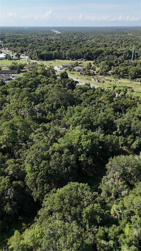 Tiny photo for 0 S Suncoast Boulevard, Inglis, FL 34449 (MLS # TB8514899)