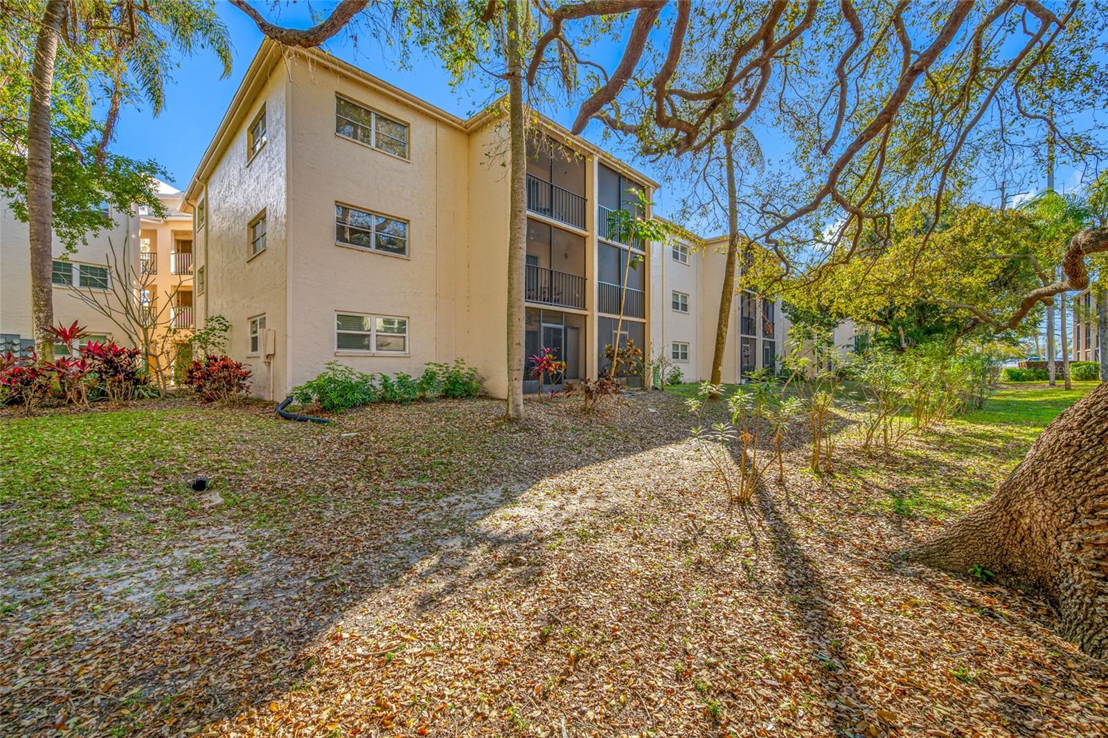 PATRICIAN OAKS - Residential