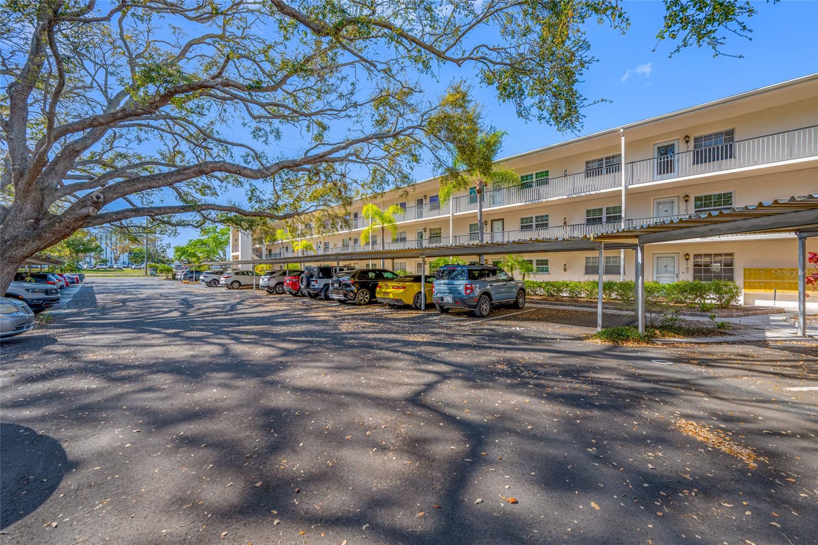 PATRICIAN OAKS - Residential