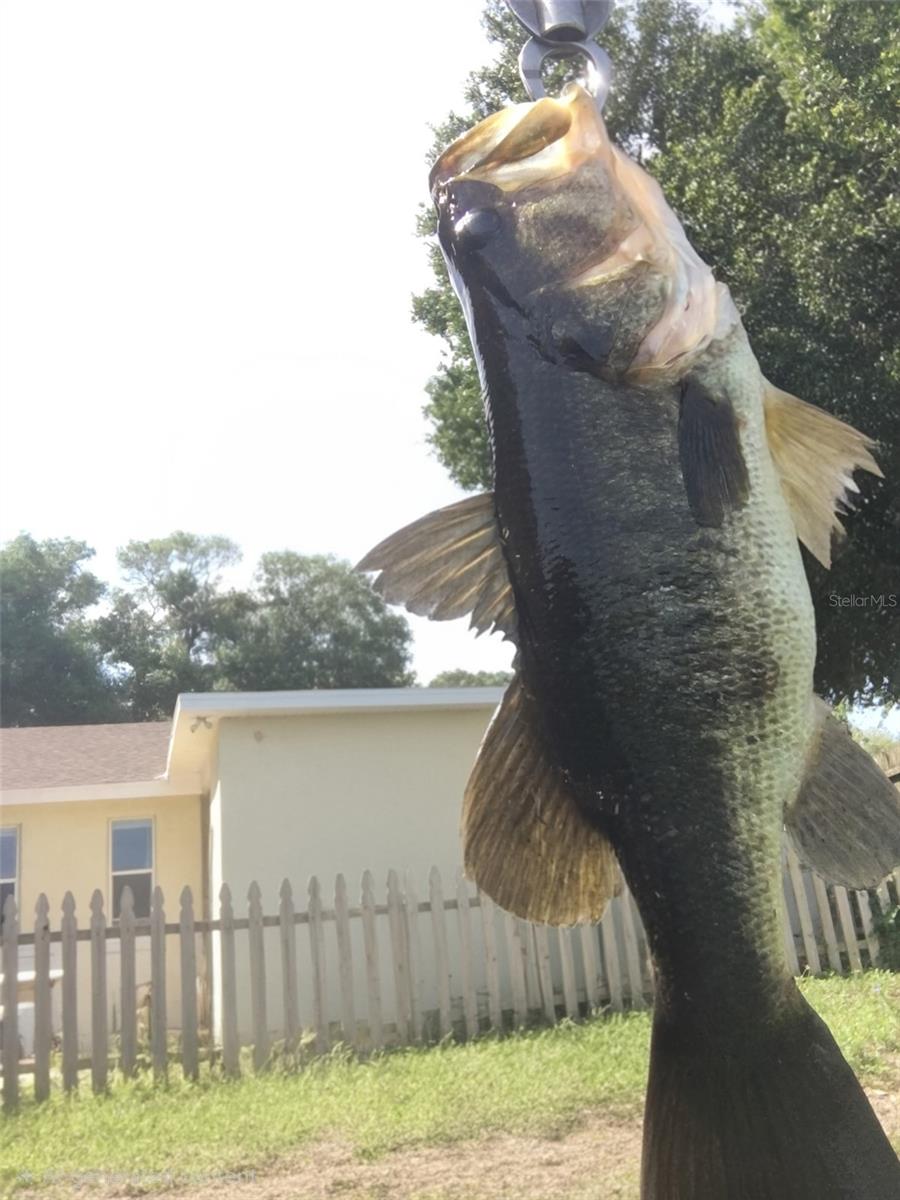 LINCOLN HIGHLANDS REP - Residential