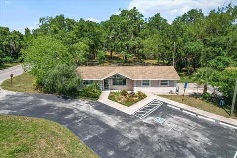 Tiny photo for 2716 S Lecanto Highway, Lecanto, FL 34461 (MLS # OM704299)