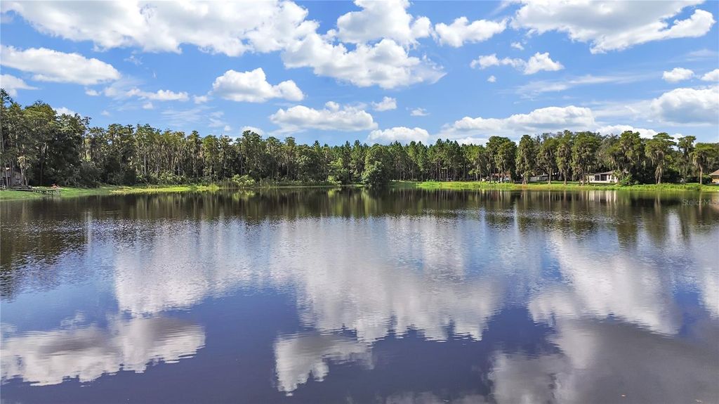 Photo of 18150 Burrell Road, Odessa, FL 33556 (MLS # TB8437914)