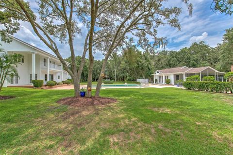 A home in LITHIA