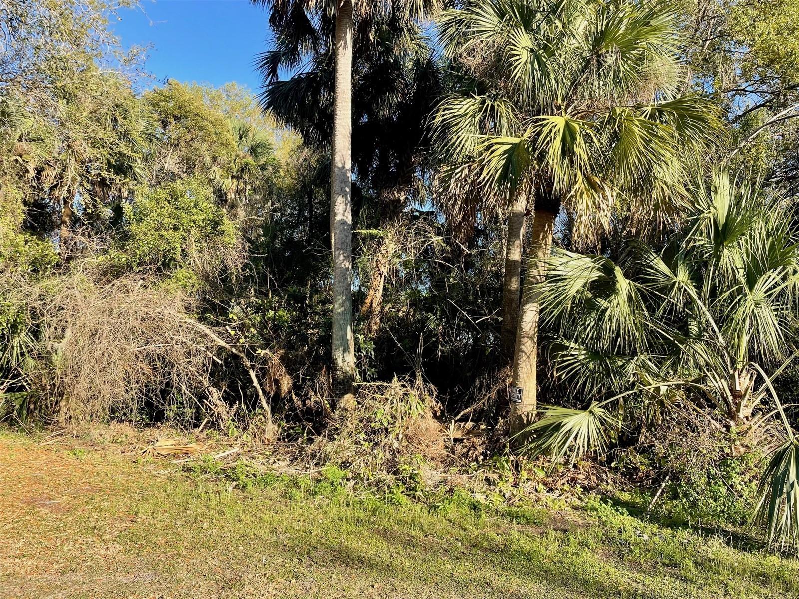 JOHNSONS VILLAGE - Land