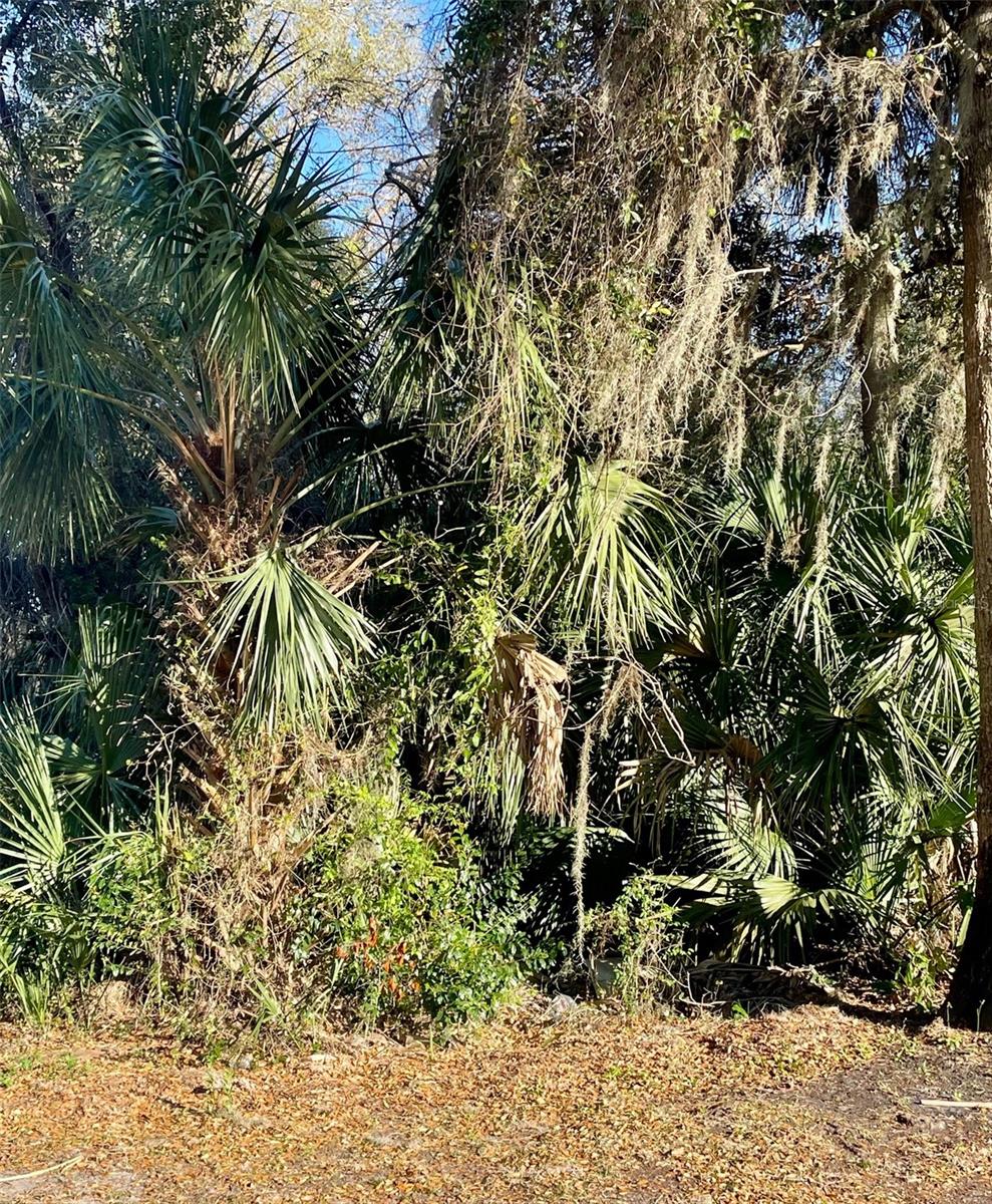 JOHNSONS VILLAGE - Land