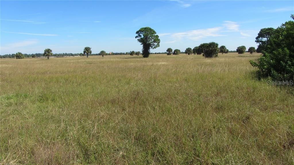 Photo of 6 Flax Court, Placida, FL 33946 (MLS # C7520275)