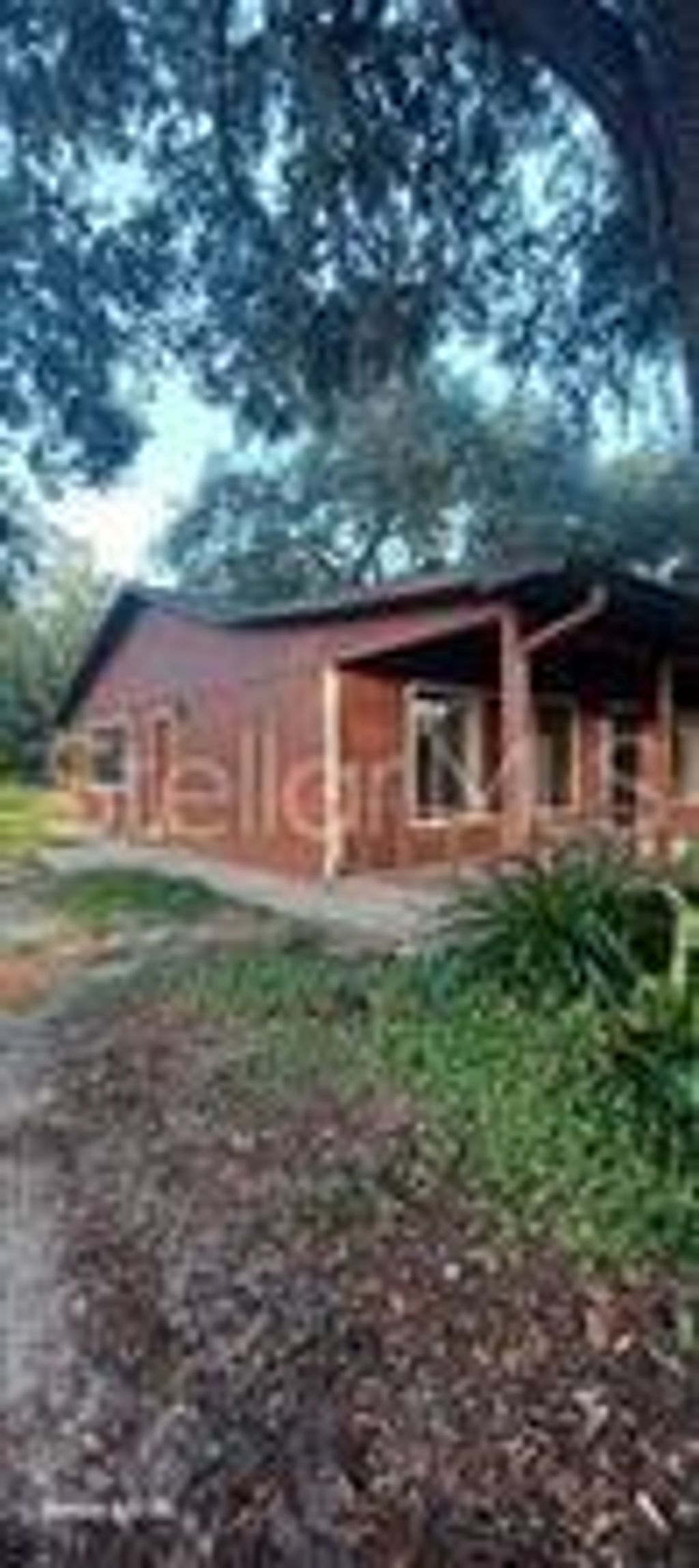Photo of 2002 Paul S Buchman Highway, Zephyrhills, FL 33540 (MLS # O6347674)