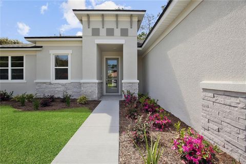 A home in PALM COAST