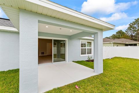 A home in PALM COAST