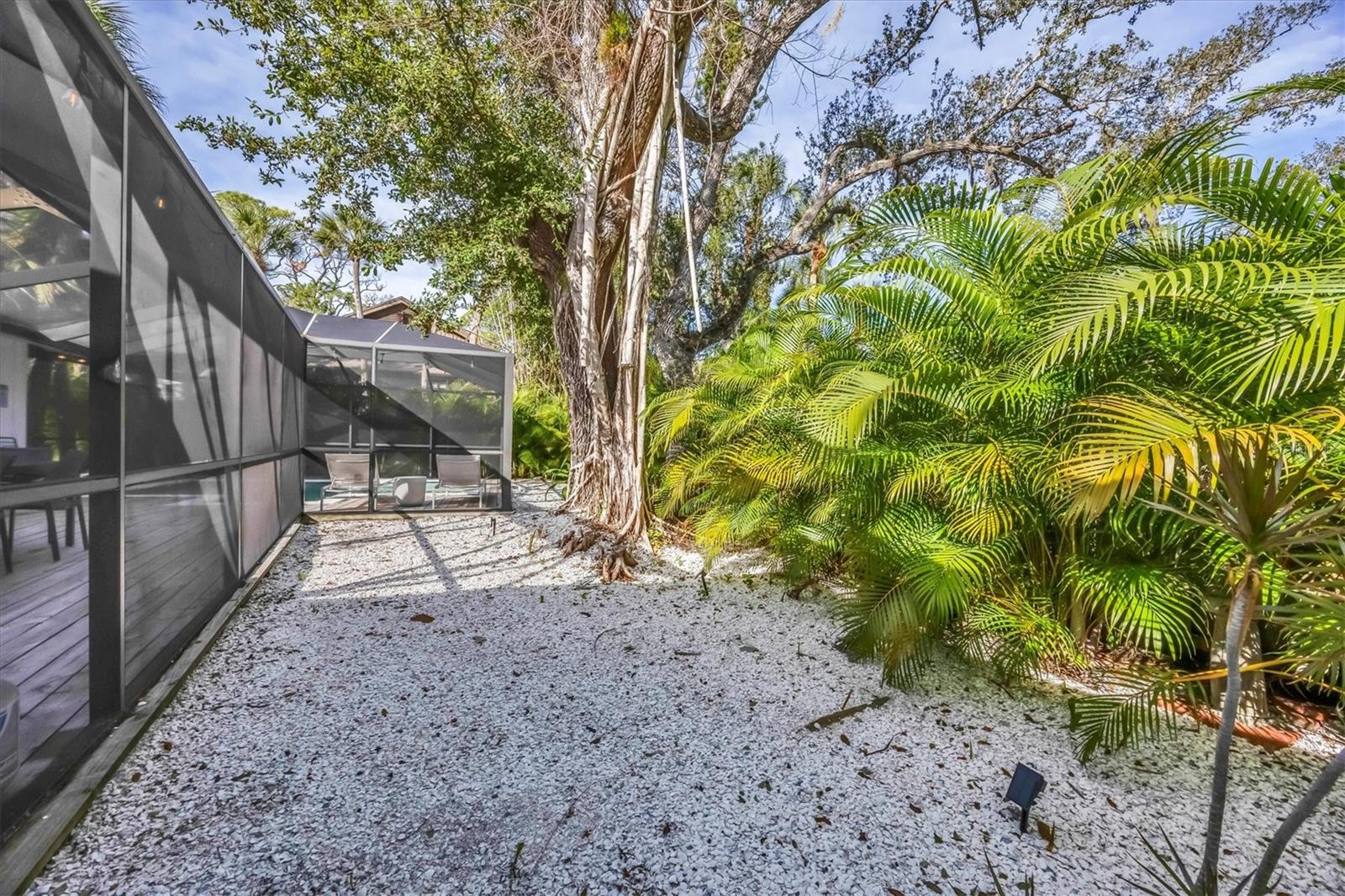 OCEAN BEACH REP - Residential