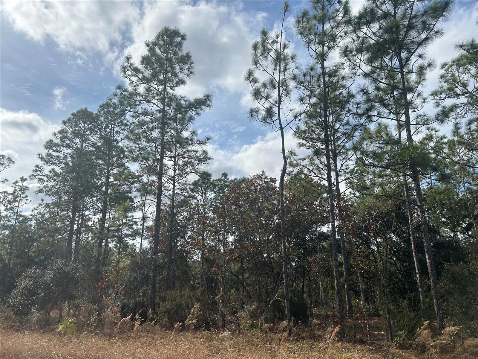 1/4 ACRE BUILDING LOT. Set on a quiet street in the Williston Highlands Golf Course area. You'll experience the country life with the ease of a smaller property to maintain. Enough room for a nice back yard and a small garden. Check it out and start building the life you have been dreaming of.