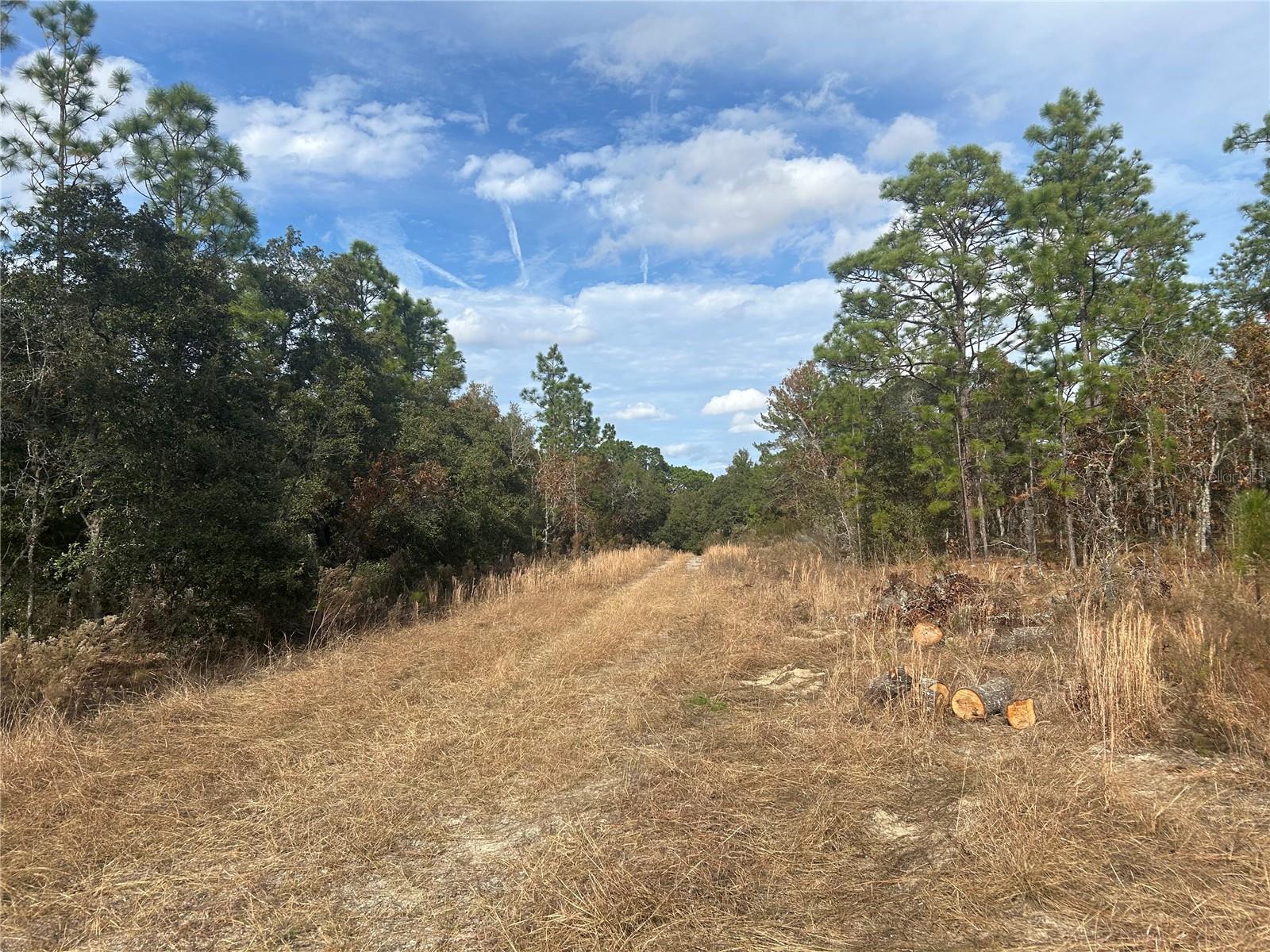 WILLISTON HYLNDS GOLF & C CLUB ESTATE - Land