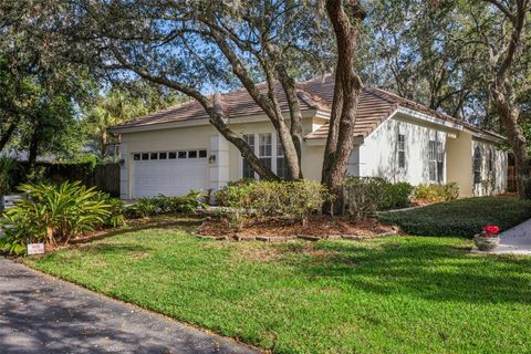 A home in TAMPA