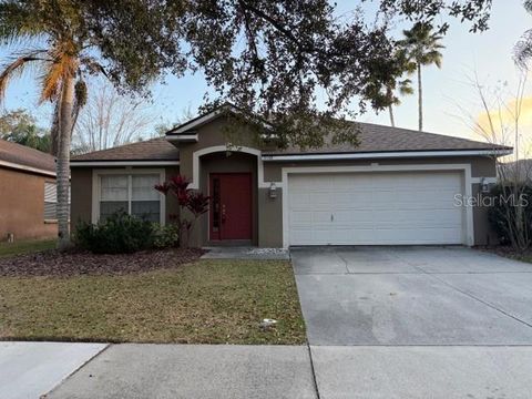 19143 DOVE CREEK DRIVE TAMPA FL 33647