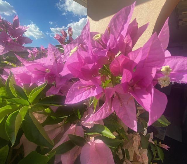 PORT CHARLOTTE SEC 36 02 - Residential