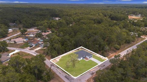 Tiny photo for 9651 W Pineview Way, Dunnellon, FL 34434 (MLS # O6405944)