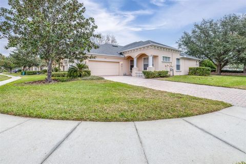 27325 MISTFLOWER DRIVE WESLEY CHAPEL FL 33544