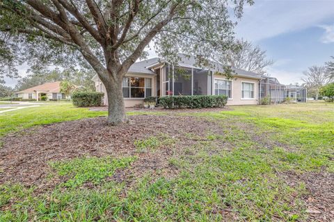 A home in WESLEY CHAPEL