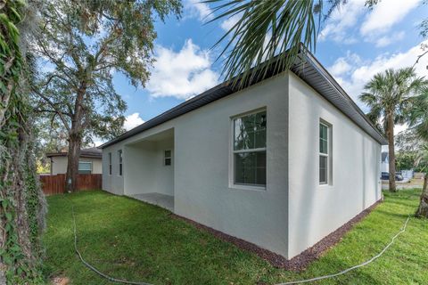 A home in EUSTIS