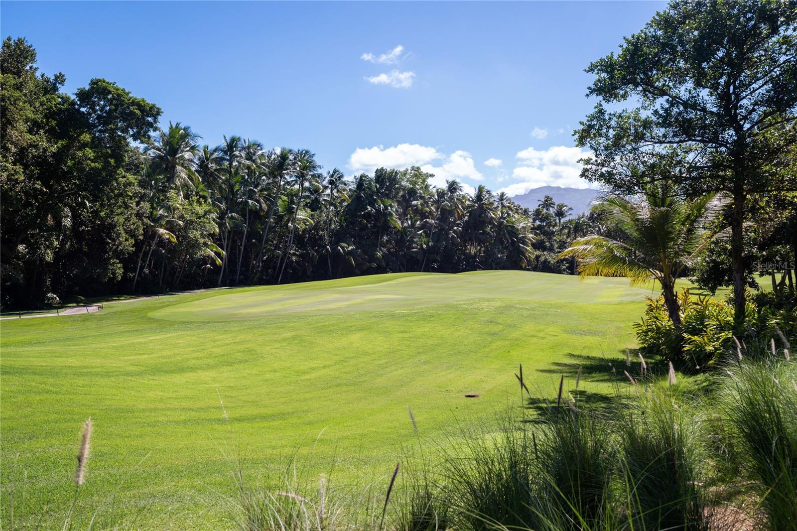 LAS VERANDAS HOME OWNER ASSOCIATION - Residential