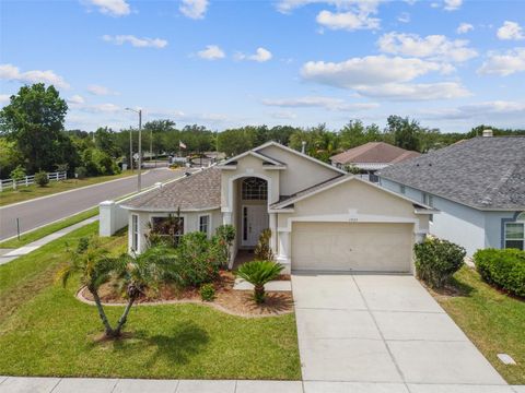 A home in WESLEY CHAPEL