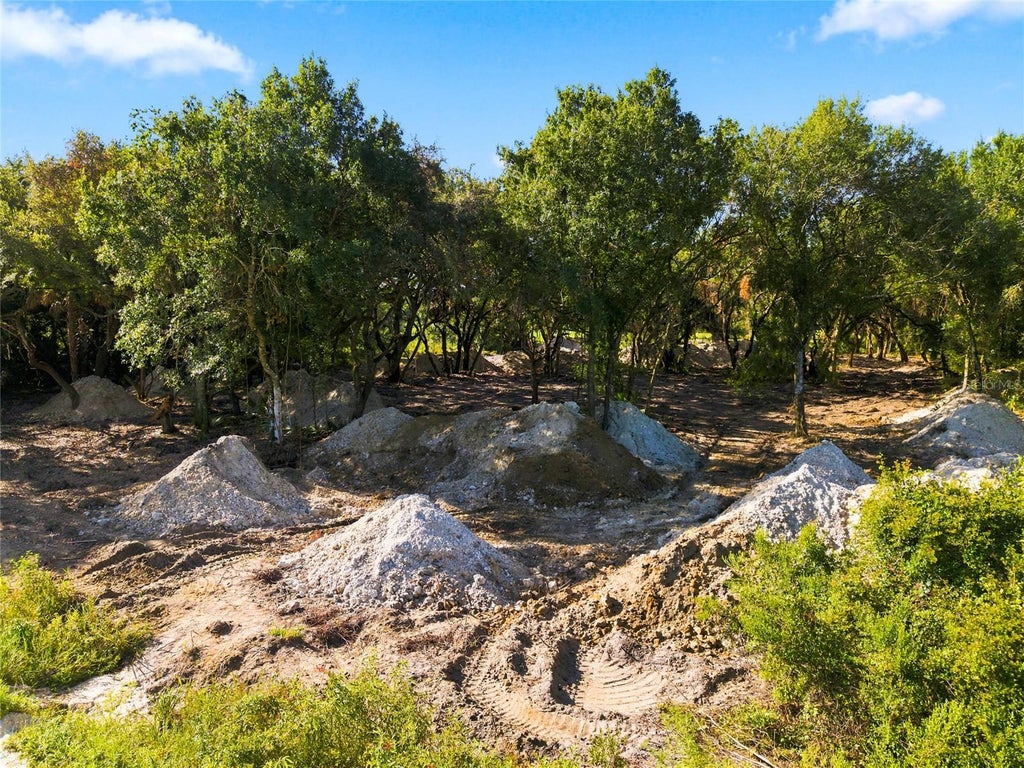 Photo of 20212 NW 288th Street, Okeechobee, FL 34972 (MLS # K4903665)