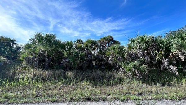 CRIMSON AVE, NORTH PORT, FL 34288 - Image e4f0db7abf2368ba1afb9d2cfe8ee700/883606056