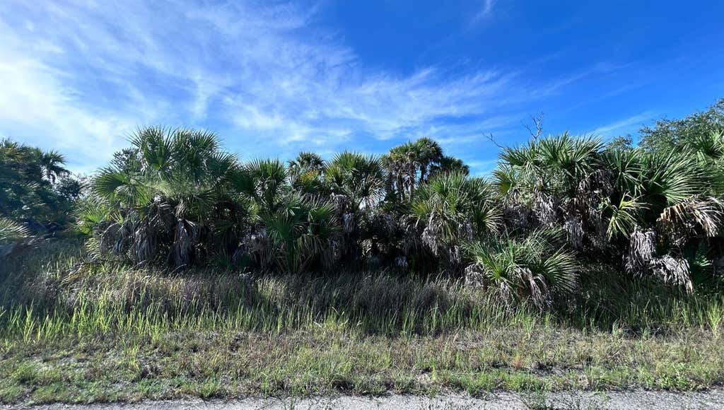 Photo of Crimsonglory Road, North Port, FL 34288 (MLS # C7525929)