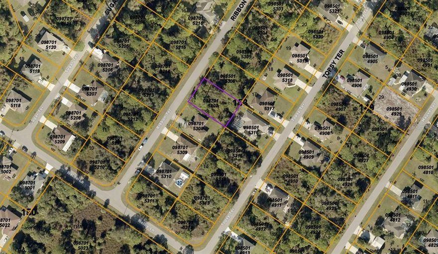Next door address is 2144 Ribbon Ter North Port FL 34286 for reference.  The lot is the 80' to the left of that property.  Start building today!  Seller has 3 other lots for sale and would be willing to package all 4 together.