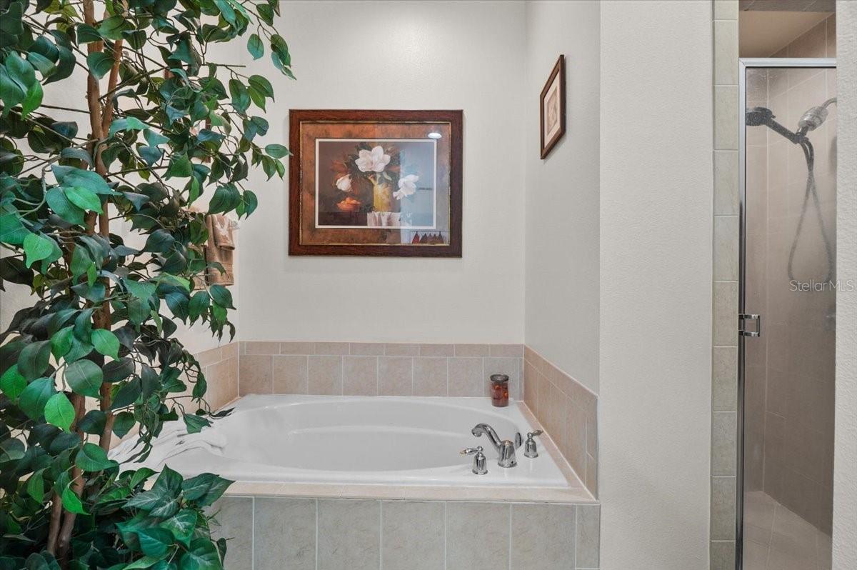 CHELSEA OAKS - Residential