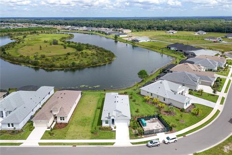 A home in MOUNT DORA