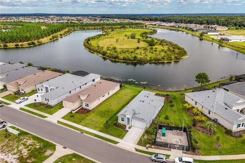 A home in MOUNT DORA