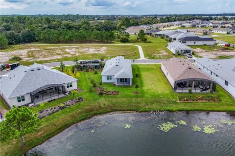 A home in MOUNT DORA