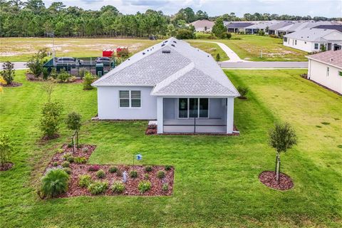 A home in MOUNT DORA