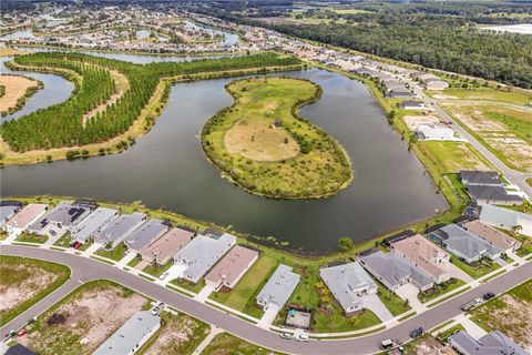 A home in MOUNT DORA