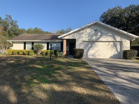 Photo of 939 N New London Terrace, Inverness, FL 34453 (MLS # OM716293)