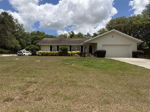 Photo of 939 N New London Terrace, Inverness, FL 34453 (MLS # OM716293)