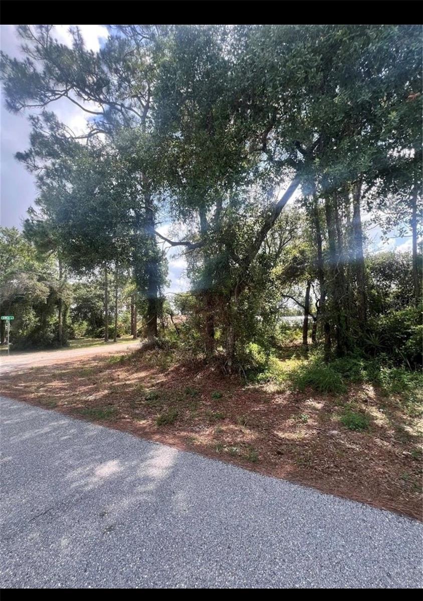 SEBRING COUNTRY ESTATES - Land