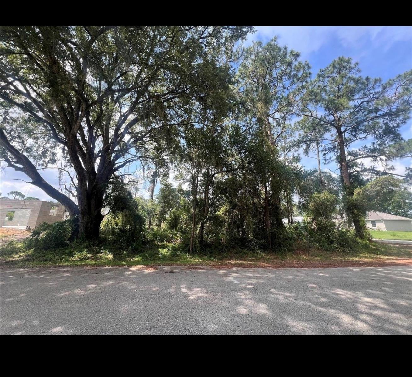 SEBRING COUNTRY ESTATES - Land