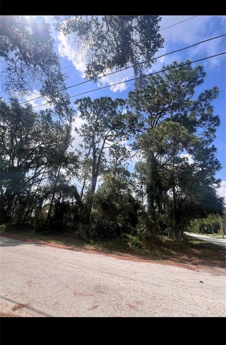 SEBRING COUNTRY ESTATES - Land