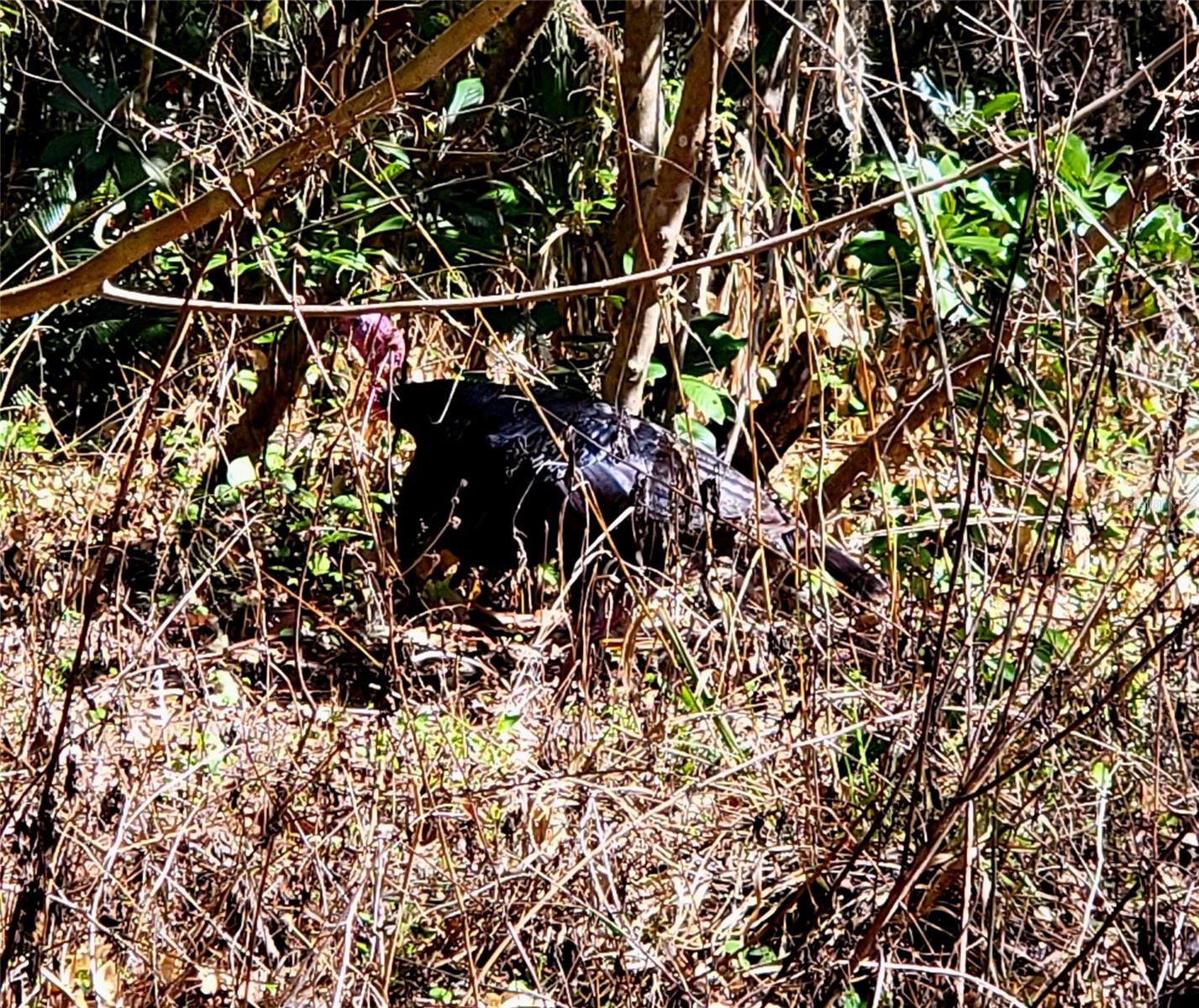 WALDO PLACE - Residential